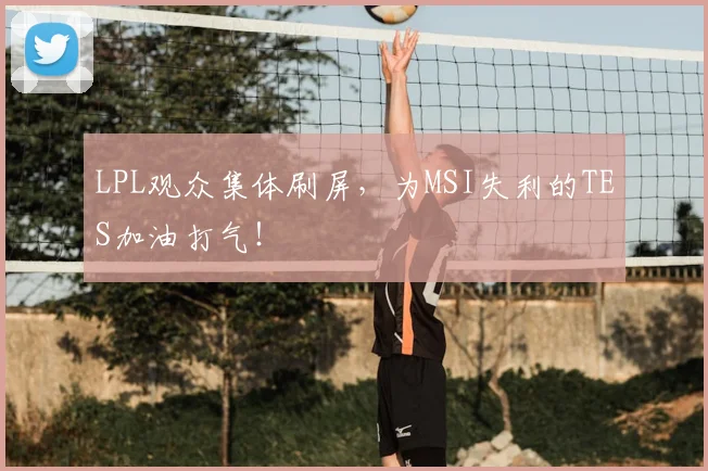LPL观众集体刷屏，为MSI失利的TES加油打气！